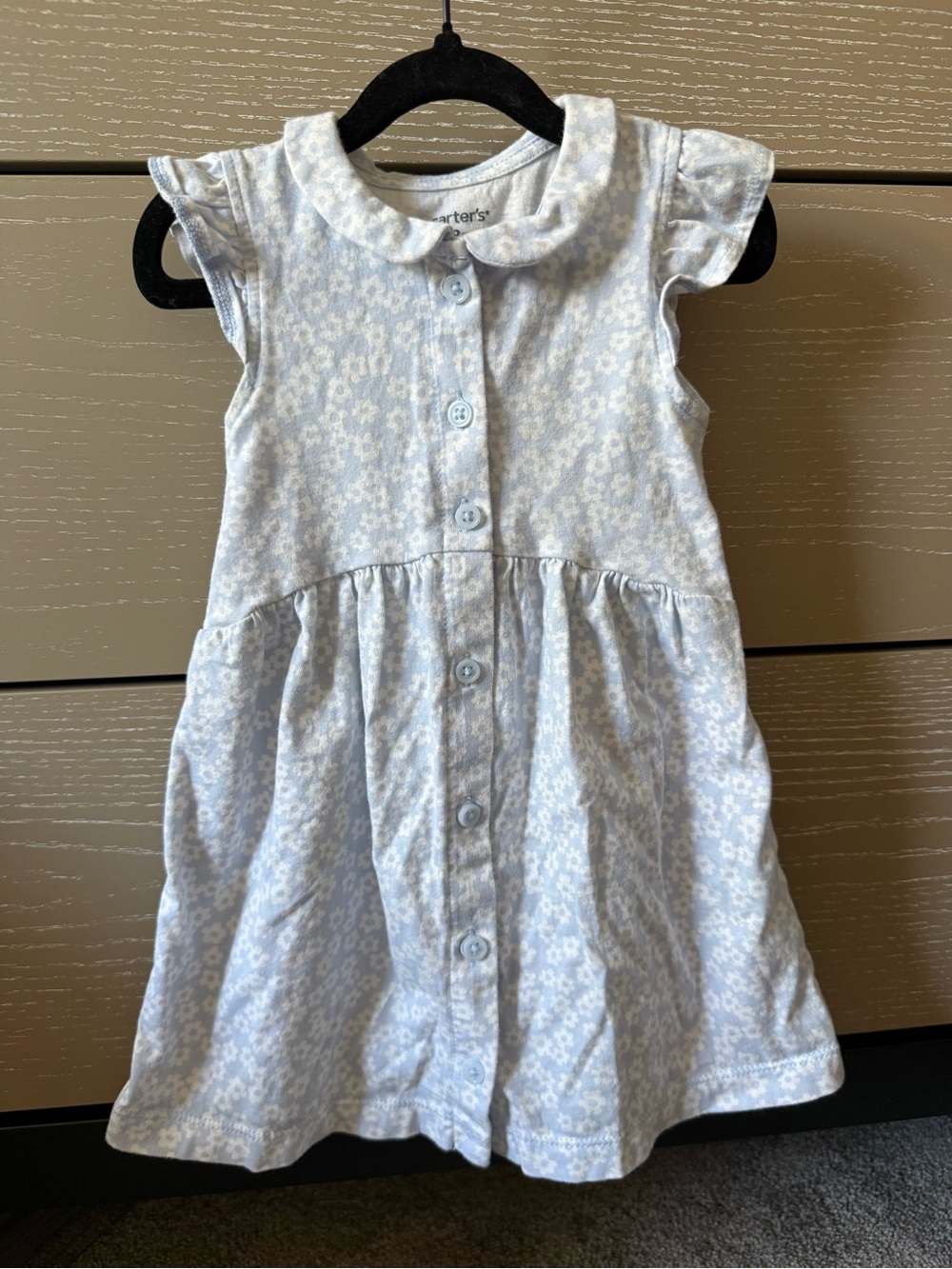 Carter's Pale Blue Floral Button-Front Dress with Peter Pan Collar